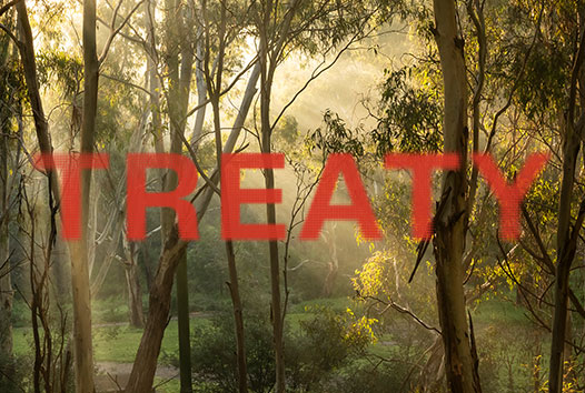 Treaty